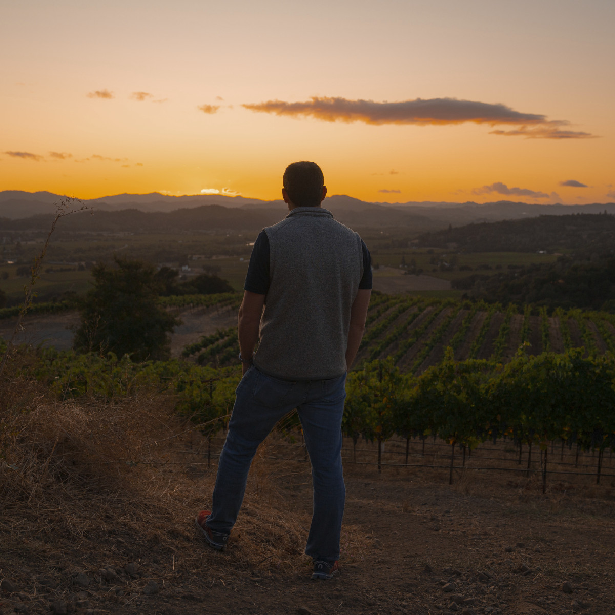 Winemaker Justin Seidenfeld has set a new bar for innovative, sustainable winemaking and resource conservation. "Our focus on balance also drives our passion for sustainable farming with less impact, leading to wines that are fuller, richer, and ultimately more balanced."