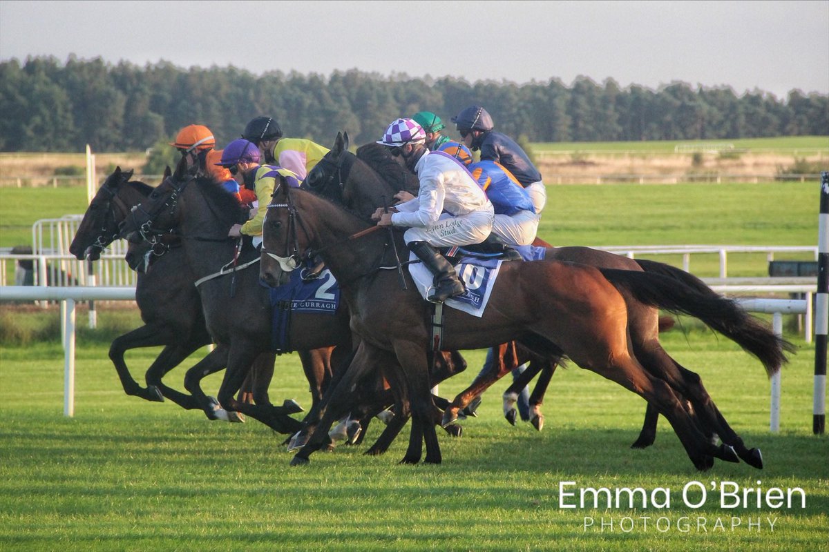 MADONNADELROSARIO (Caravaggio) and Wayne Lordan win the DMG media Nursery Handicap at The Curragh for trainer Aidan O’Brien