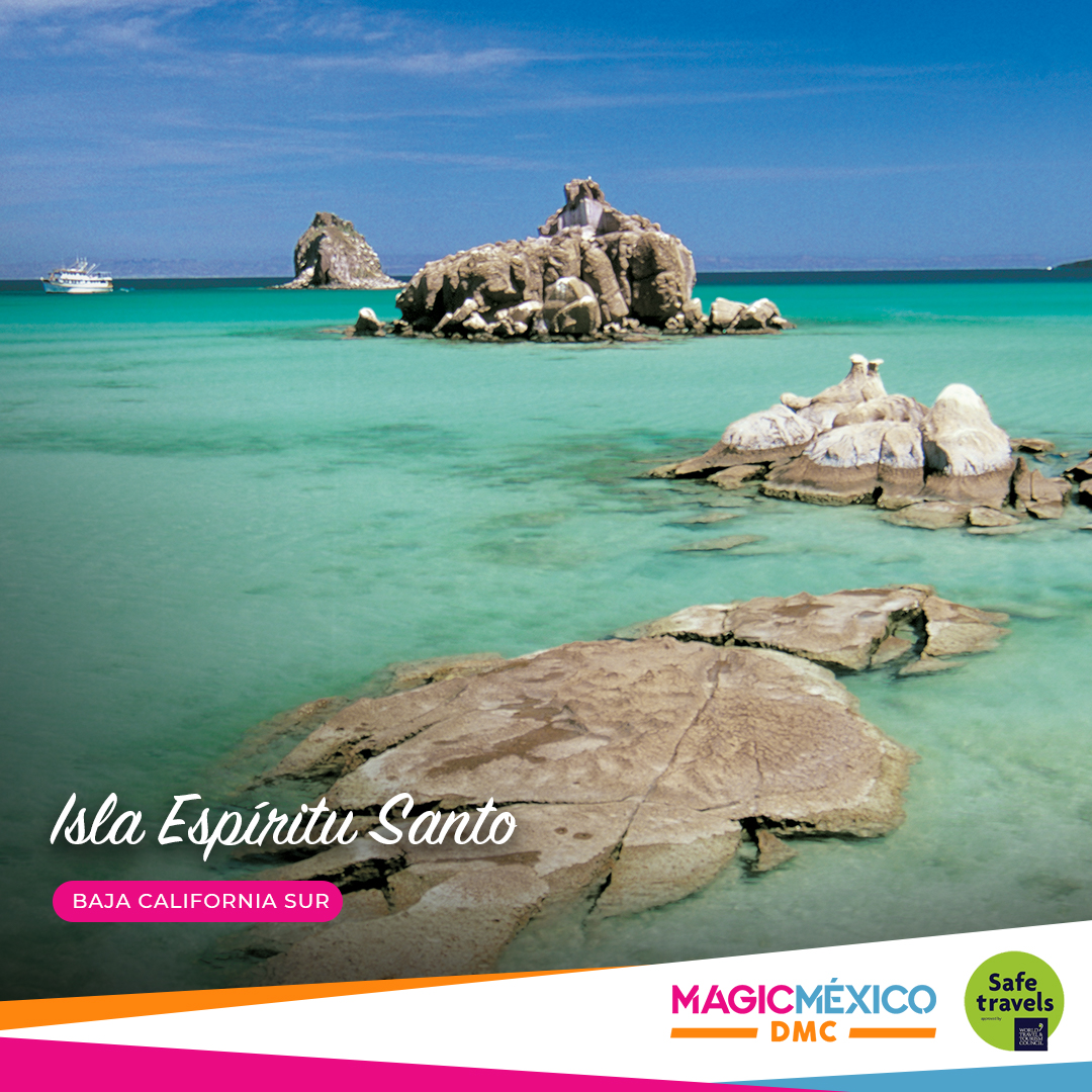 MagicMexicoDMC's tweet photo. En la icónica Isla Espíritu Santo encontrarás una belleza escénica impresionante 🏝🦭🐙🐚

📍Numerosas playas virgenes
📍Rocas de origen volcánico 
📍Gran cantidad de flora y fauna endémica. 

📲Sigue nuestras redes sociales: @magicmexicodmc 

 #bajasur #ViveloConMagicMéxicoDMC https://t.co/mqRy2EYq66