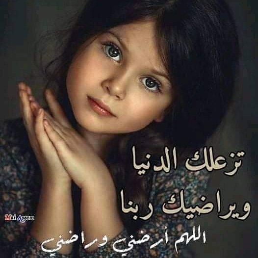 شروق محمود tweet media