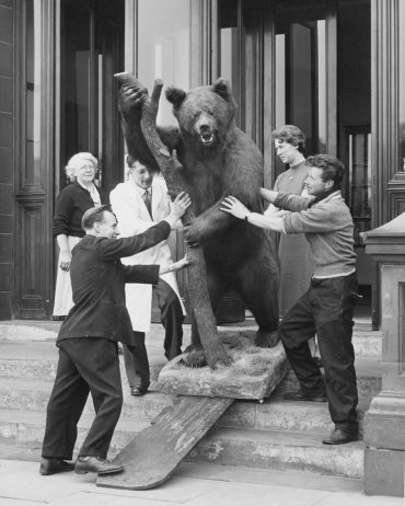 nixon_pat's tweet photo. Well - a giant something being handled into a museum #GiantObjectsInMuseums @DormanMuseum https://t.co/2g68PU6sin