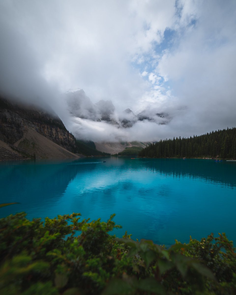 minizmal tweet media