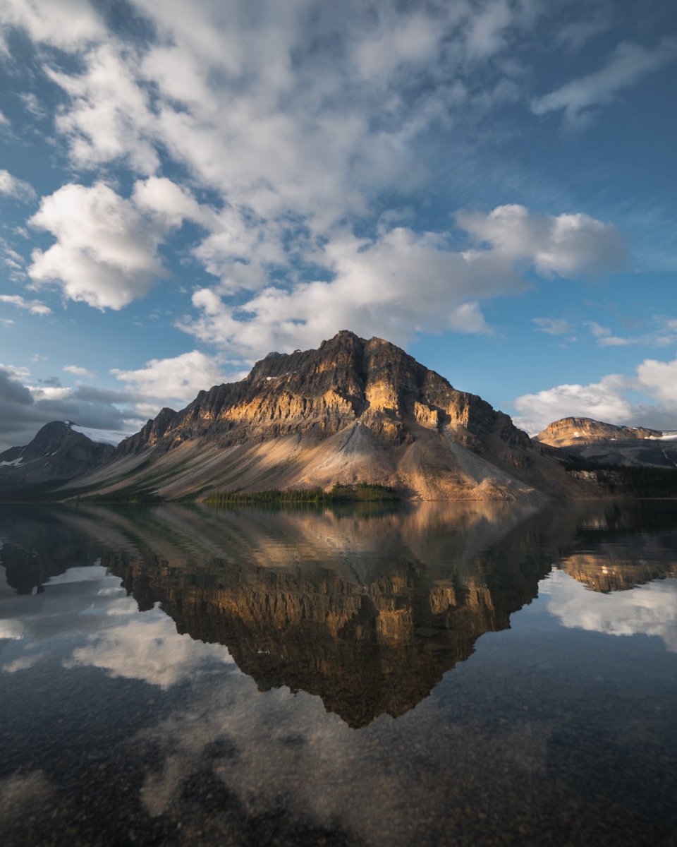 minizmal tweet media