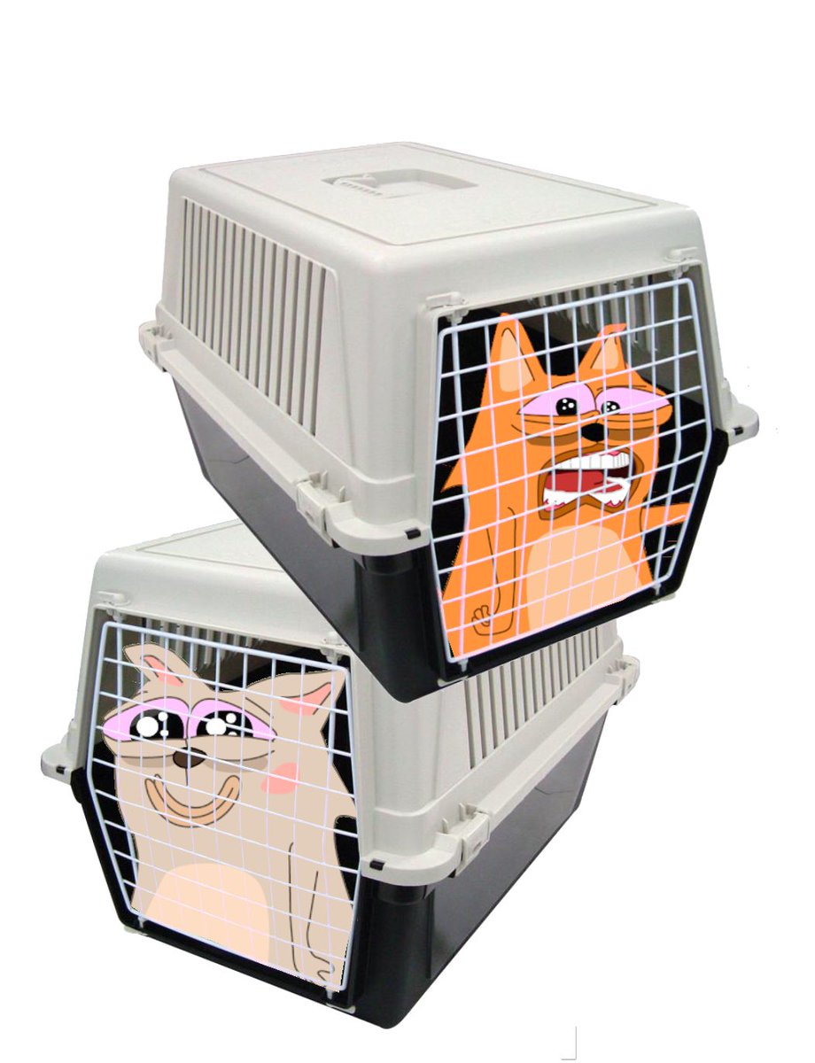 jus picked these fellas up from the pound, ty @pepecasso1