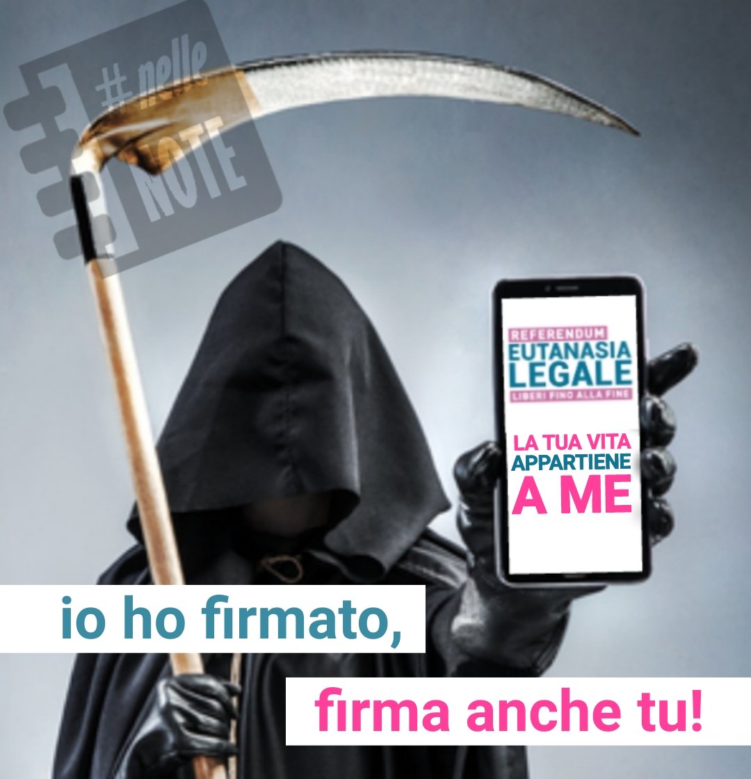 #nelleNOTE tweet media