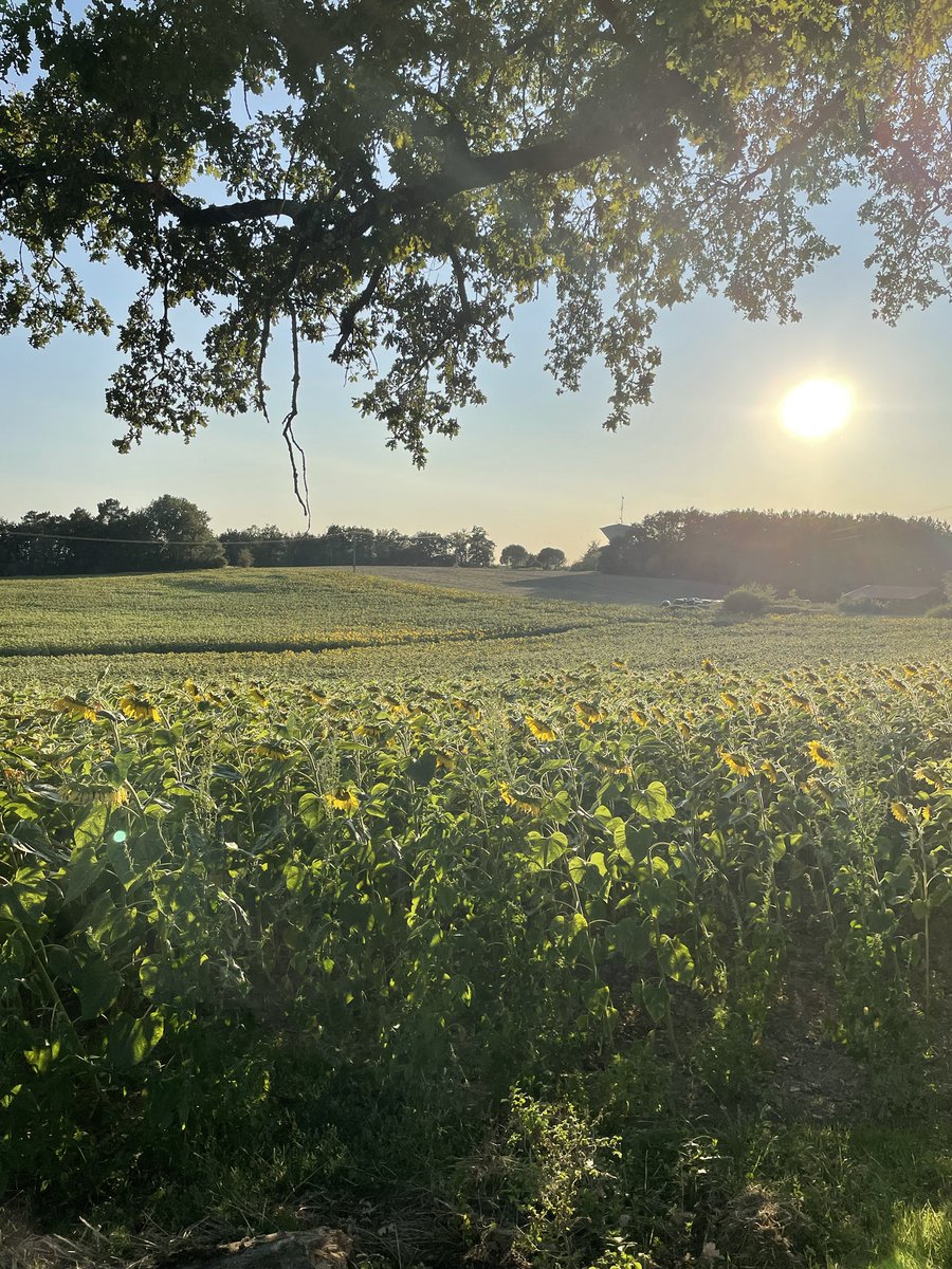 mikehamer's tweet photo. Away for a cheeky long weekend in south west France, joining friends who are already here. Gin and wine flowing nicely. https://t.co/p1FmDIPoHY