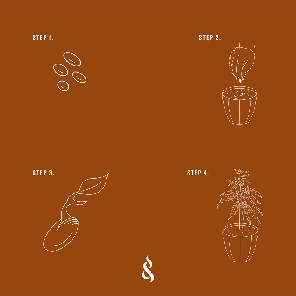 The growing process sure does teach us patience. 😉

Did you know we sell seeds?

Next time you’re in, ask one of our budtenders for more information!

We love to chat with you all.
