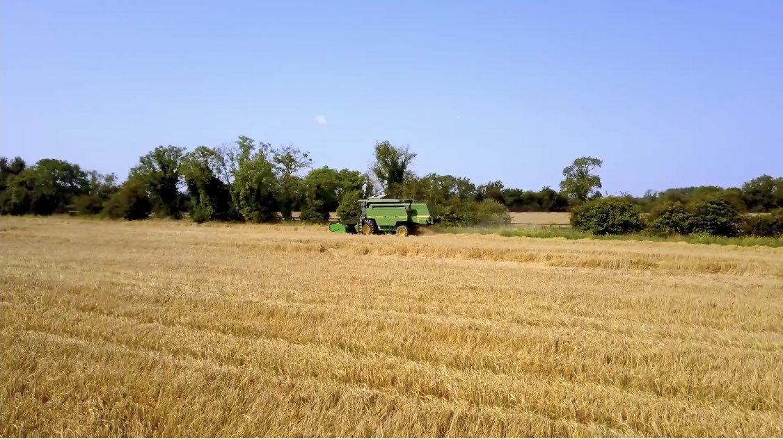It’s harvest time on the Lyons Family Land in Dunboyne. Another step closer to using our own grown grain in <a href="/PLDistillery/">Pearse Lyons Dist.</a> for making our Pearse Whiskey. 
The Barley is coming in at 9.4% Protein. 🌾 

Oats will be harvested next week 🤞 

#owngrowngrain #Irishgrain #pearsewhiskey