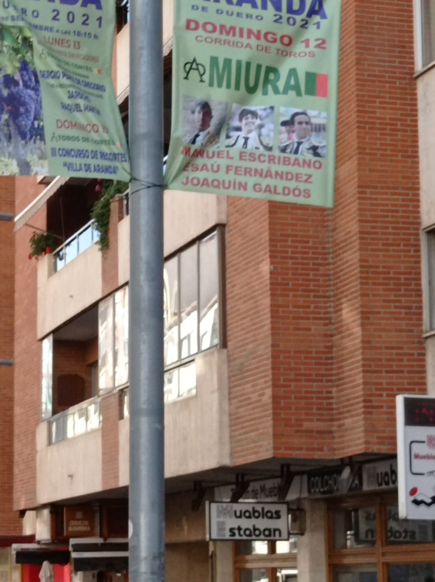 Arandatoros's tweet photo. Colocando publicidad de la Feria Taurina. https://t.co/Frfhvg9TDP