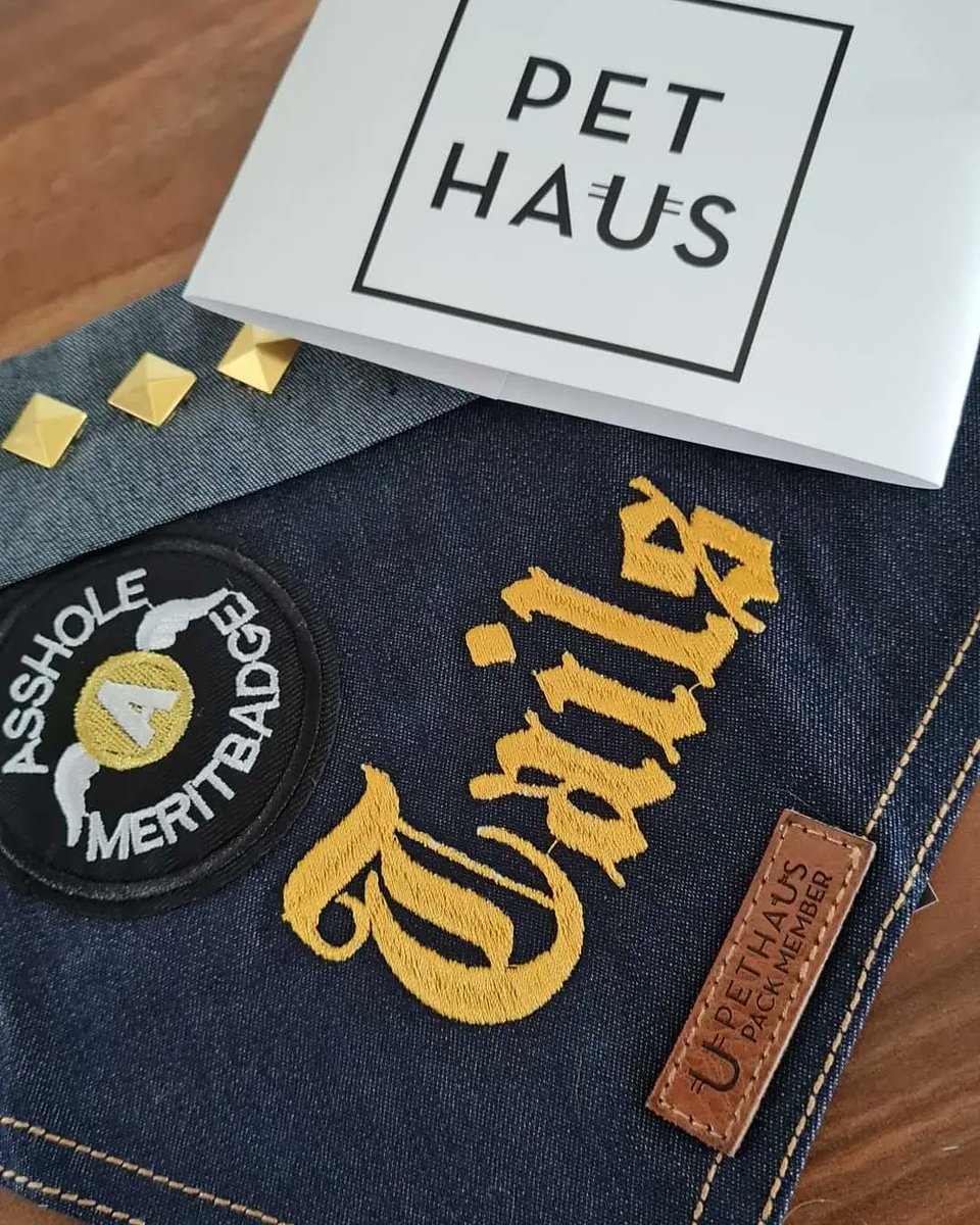 Hobbitpawsdogs's tweet photo. "darling please... it's called the CATWALK for a reason!".
Talis the cat showing the dogs how it's done in his new bandana 🤣🐱👑
#pethaus @HelloPetHaus #CatsOfTwitter #catlover #Cat https://t.co/ltWkwBPGvZ