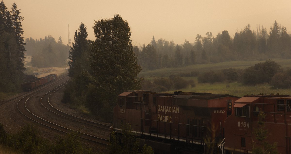 WallaBare's tweet photo. photos in smoke https://t.co/9o9JzTU08f