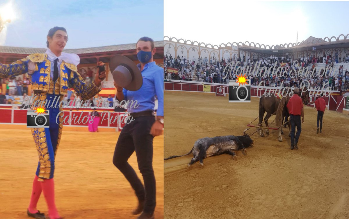 NovilladasSin's tweet photo. DIRECTO - AÑOVER DE TAJO :: Nacho Torrejón desoreja al 4º de vuelta al ruedo
🖊️📸 @CARLOSPINMAR 
https://t.co/QmWABOn10a https://t.co/C8zMkB6eOt