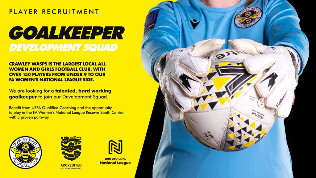 HHTWomen's tweet image. 🚨 GOALKEEPERS 🚨

Any goal keepers out there looking for National League football get in touch via email jack@crawleywasps.com 

#GetTheBuzz
#Wasps🐝