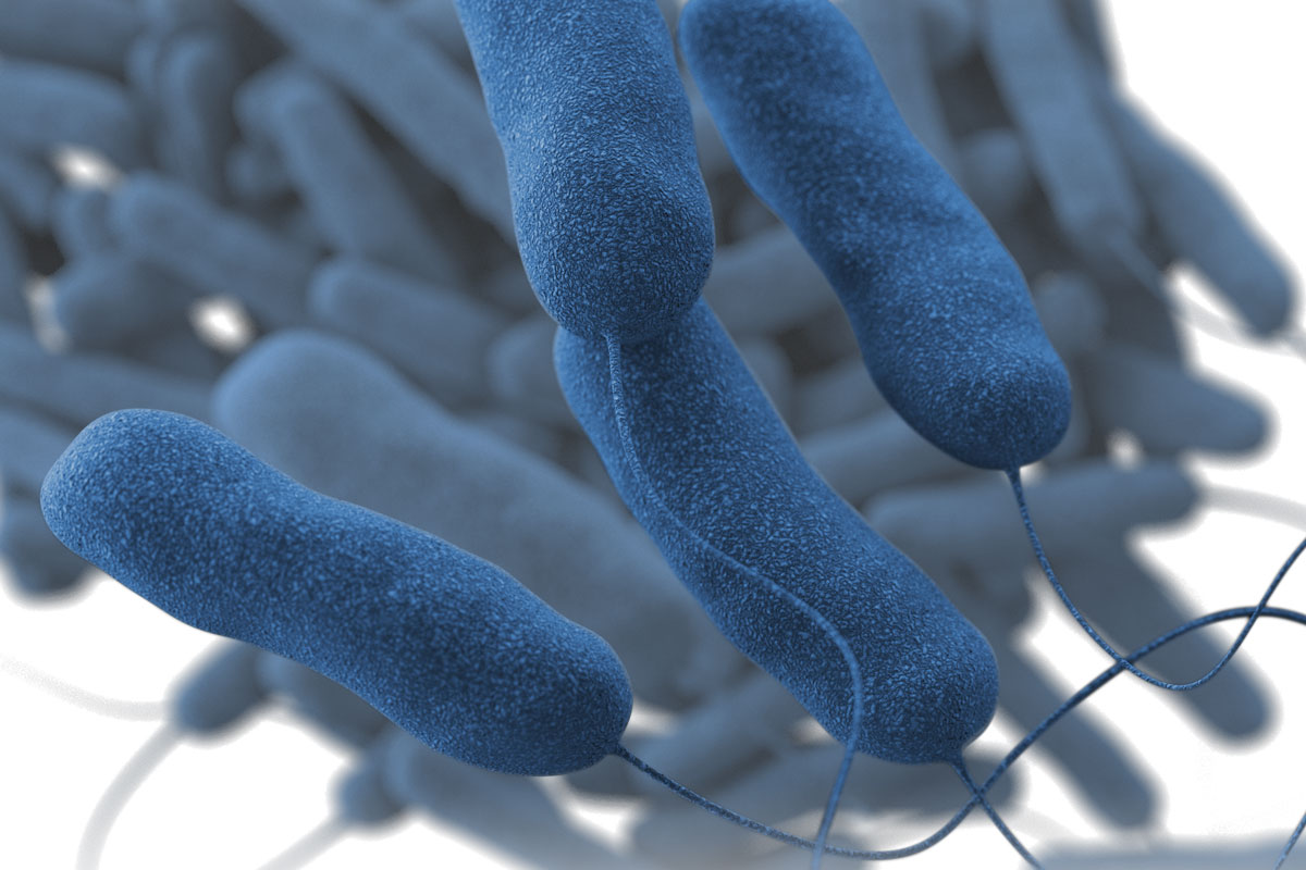PoolProMag's tweet image. PoolPro Operator columnist, Rudy Stankowitz, tackles how to find and combat legionella in swimming pools. 
Read the article: bit.ly/3gJNi77
#poolpro #poolservice #pooloperator #legionella #legionnaires