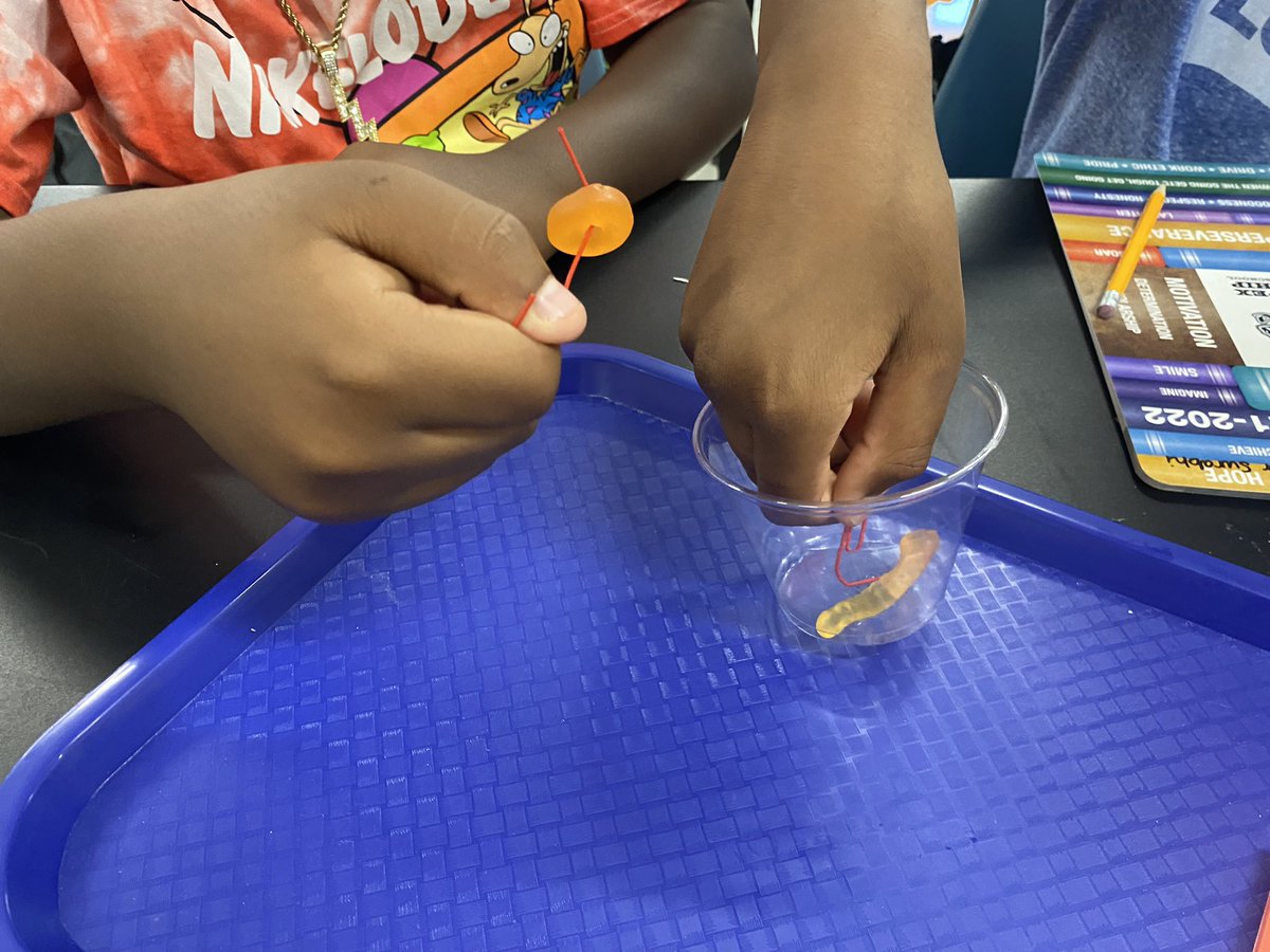 MrsMalick_AFMS's tweet photo. HAPPY FRIDAY! This week was jam packed with fun, team building and our first lab! I can’t wait for this year with this awesome group of students #chargeon @AFMSChargers ❤️💙 https://t.co/qKMV7cOC3H
