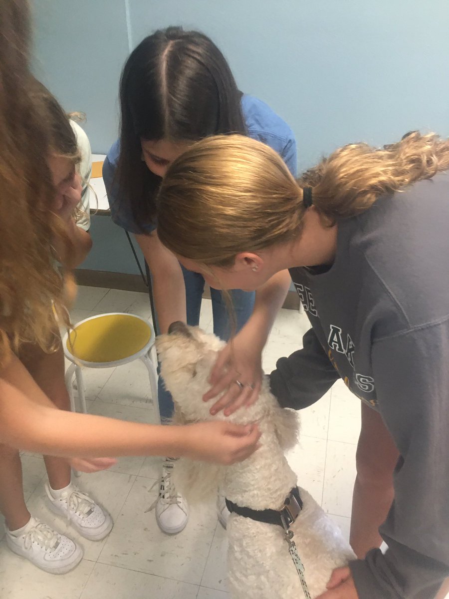 drabate_dlms's tweet image. Lancer was excited to meet all of the new 6th graders today @deerlakessd  and to get ❤️ from some 8th graders too! #DLProud #middleschool