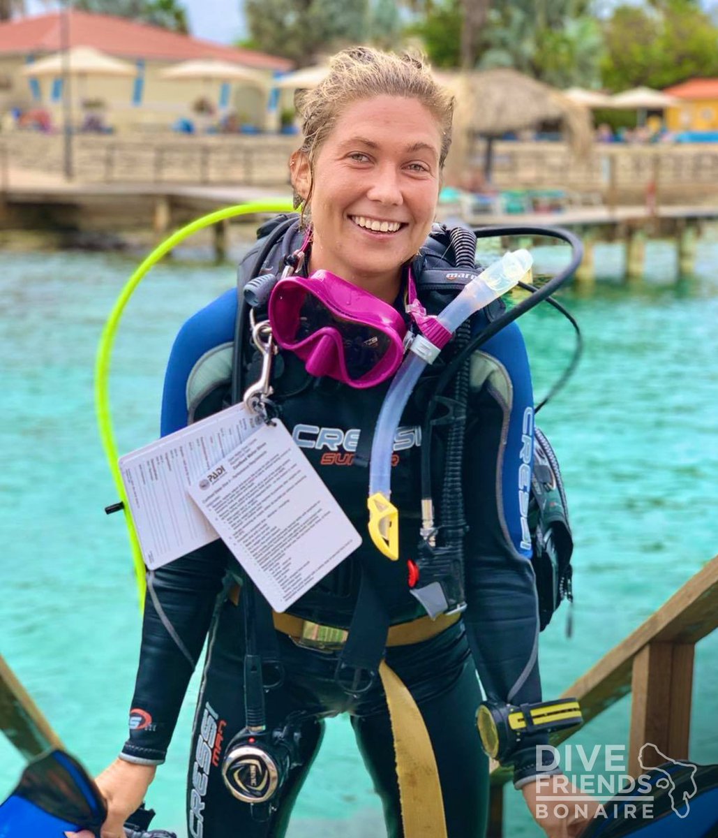 Dive Friends Bonaire tweet media