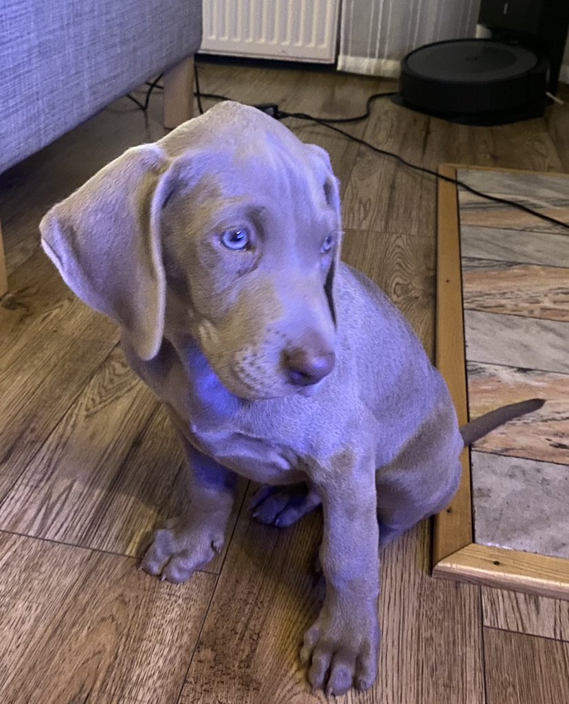 Setty2k_'s tweet image. BRO WTF BEST BIRTHDAY PRESENT EVER AAAA❤️