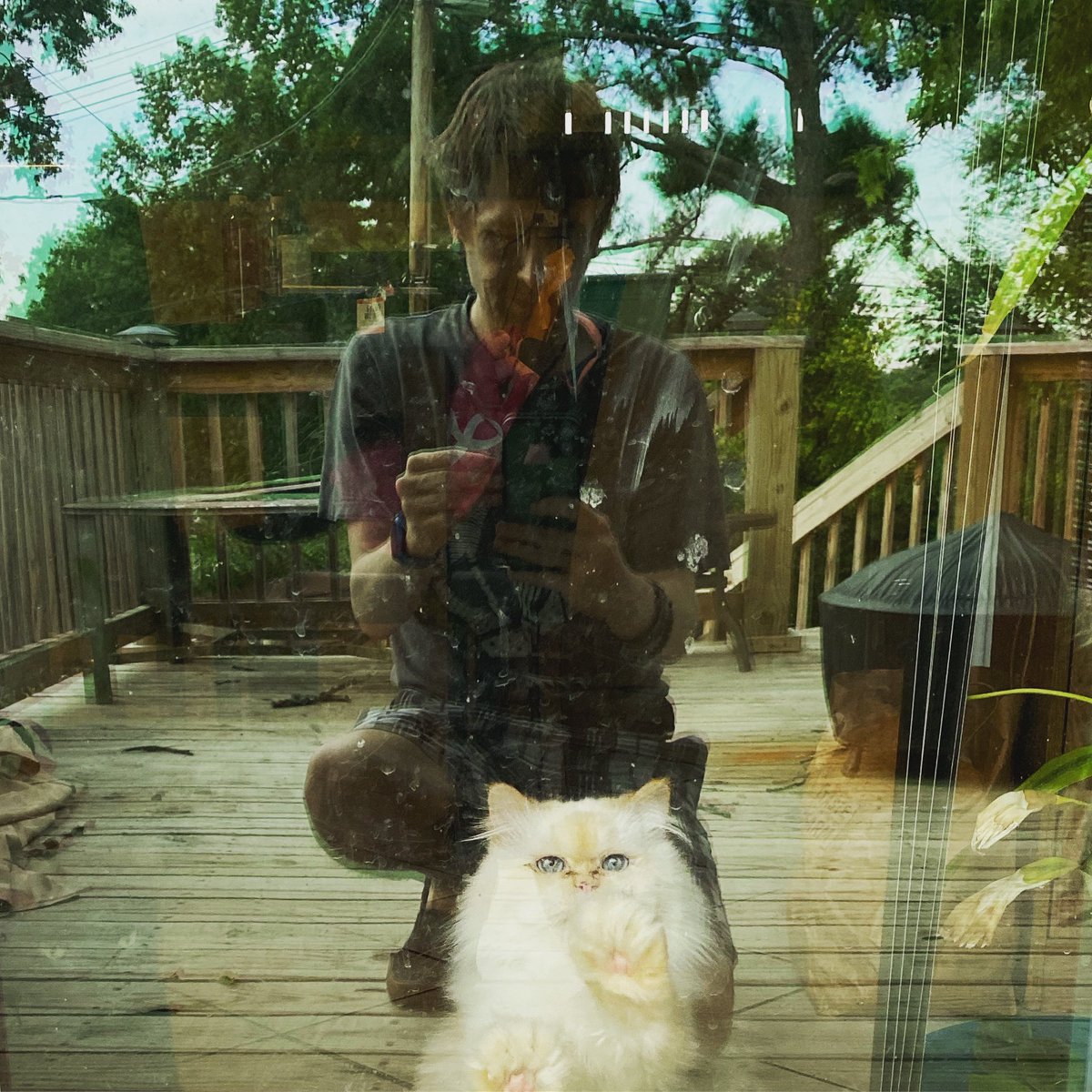 CuddleYourCat's tweet photo. #CatGhosts https://t.co/uejX0sUukc