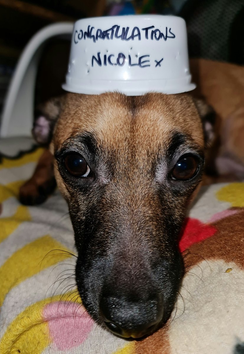 Brassylassy's tweet image. Yippee yay to the beautiful Tank. ❤ #TANKarmy #CRAWLorDIE2