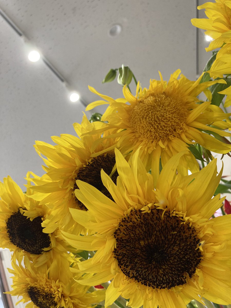 Flower Shop Hana Shippou 9月4日 土 ワークショップ開催 H Shippou Twitter