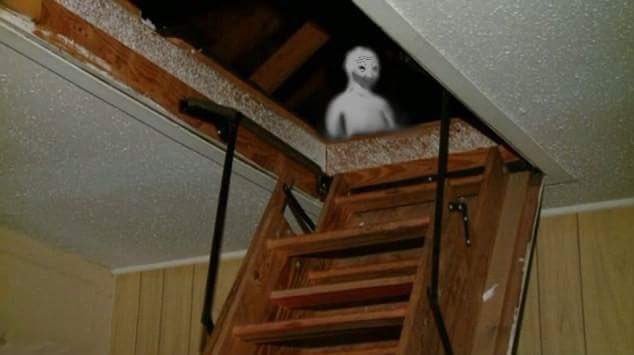 Pollo2x's tweet image. &quot;Why don&apos;t you come down and show the neighbors all the cute pictures you&apos;ve been buying..?&quot;