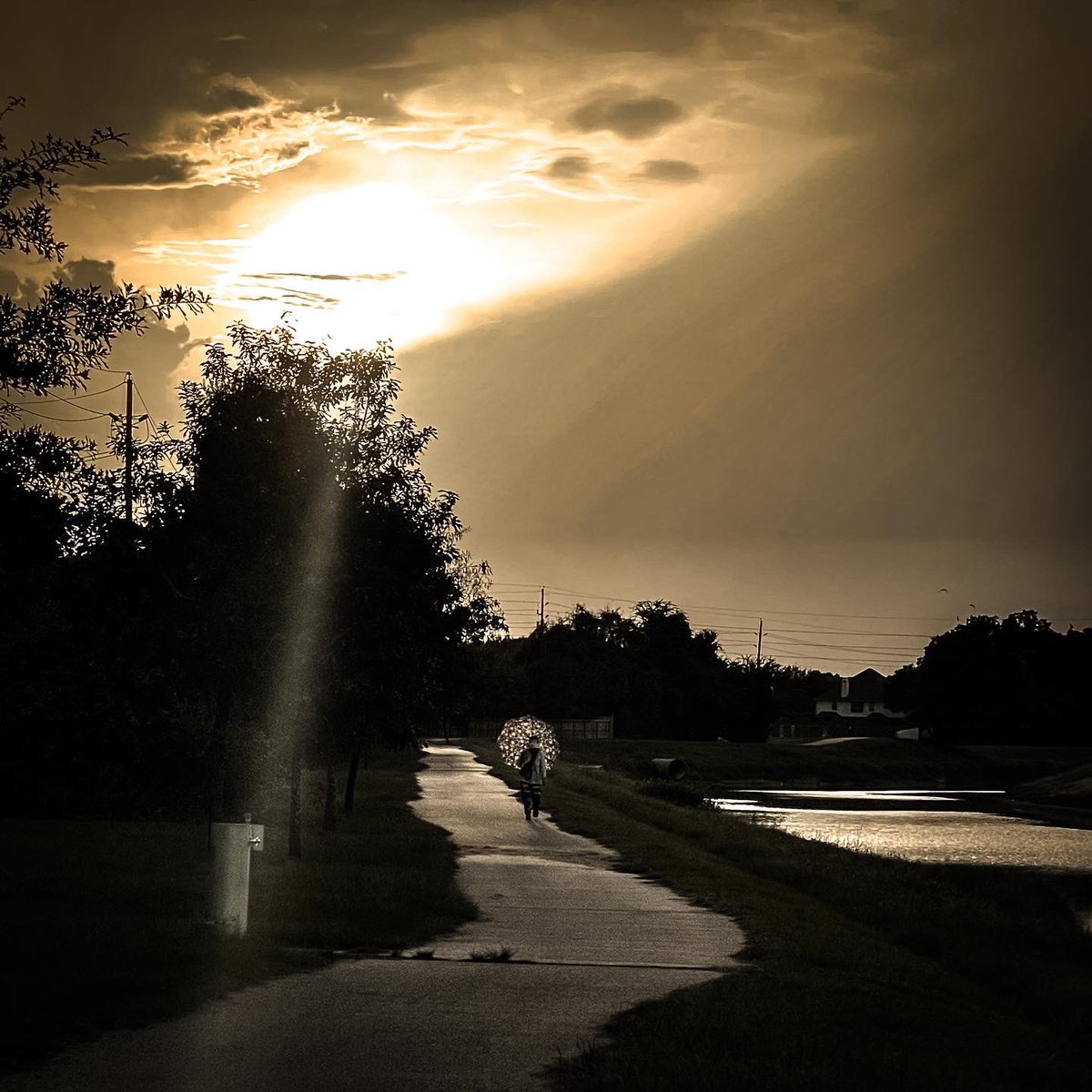 RuschAudrey's tweet image. Today was an ARD for me. So an easy ride was nice . I enjoyed the scenery. Here are a few pics. It’s important to find time to relax, rest and enjoy. #exerciseoutside #veganathlete #naturephotography #mypeakchallenge #crosstrainbikeride #footballchick