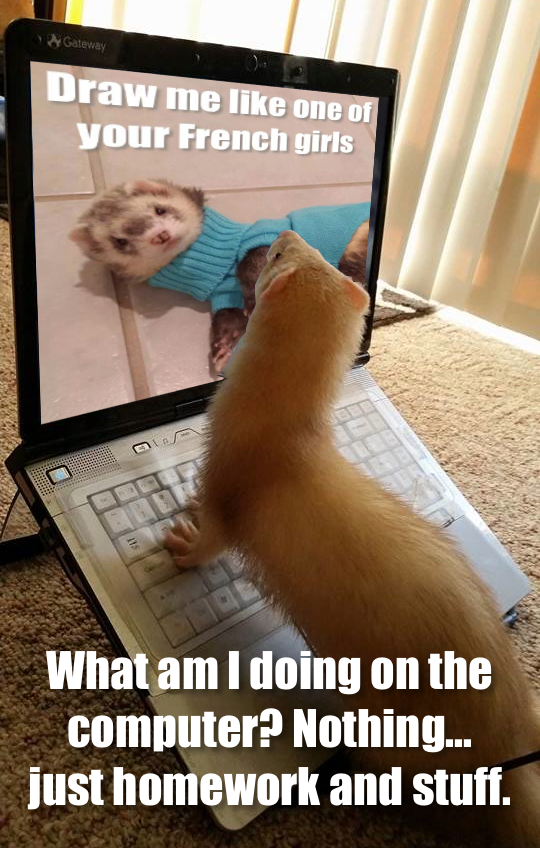 SubRosaMagick's tweet photo. #justsayin #ferrets #catsnakes #noodles https://t.co/IQJlFc5Wky