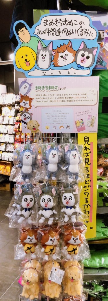 🐈まめきちまめこ🦮】 月間PV数7000万💥 みんな大好き😘 まめきちまめ