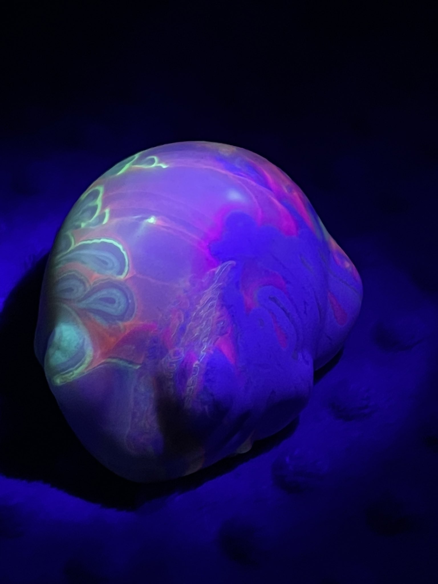 3 pic. My Froggy courtesy of @ppsculptors was waiting for me when I arrived for the first day of college! I haven’t had a minute to post about it until now though. He is absolutely gorgeous! Translucent rainbow goodness and adorable little toes for the win! https://t.co/yzV8x8Yux9