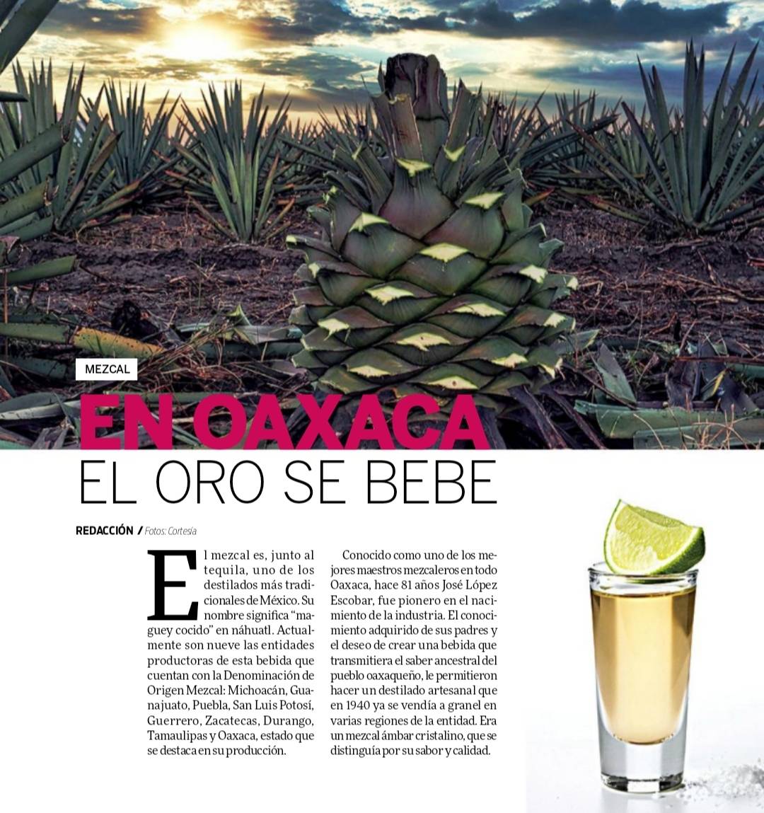 TravelTimesPlus's tweet image. En Oaxaca el oro se bebe ow.ly/4ido30rShts @mezcaloro
#Mezcal #MezcalArtesanal