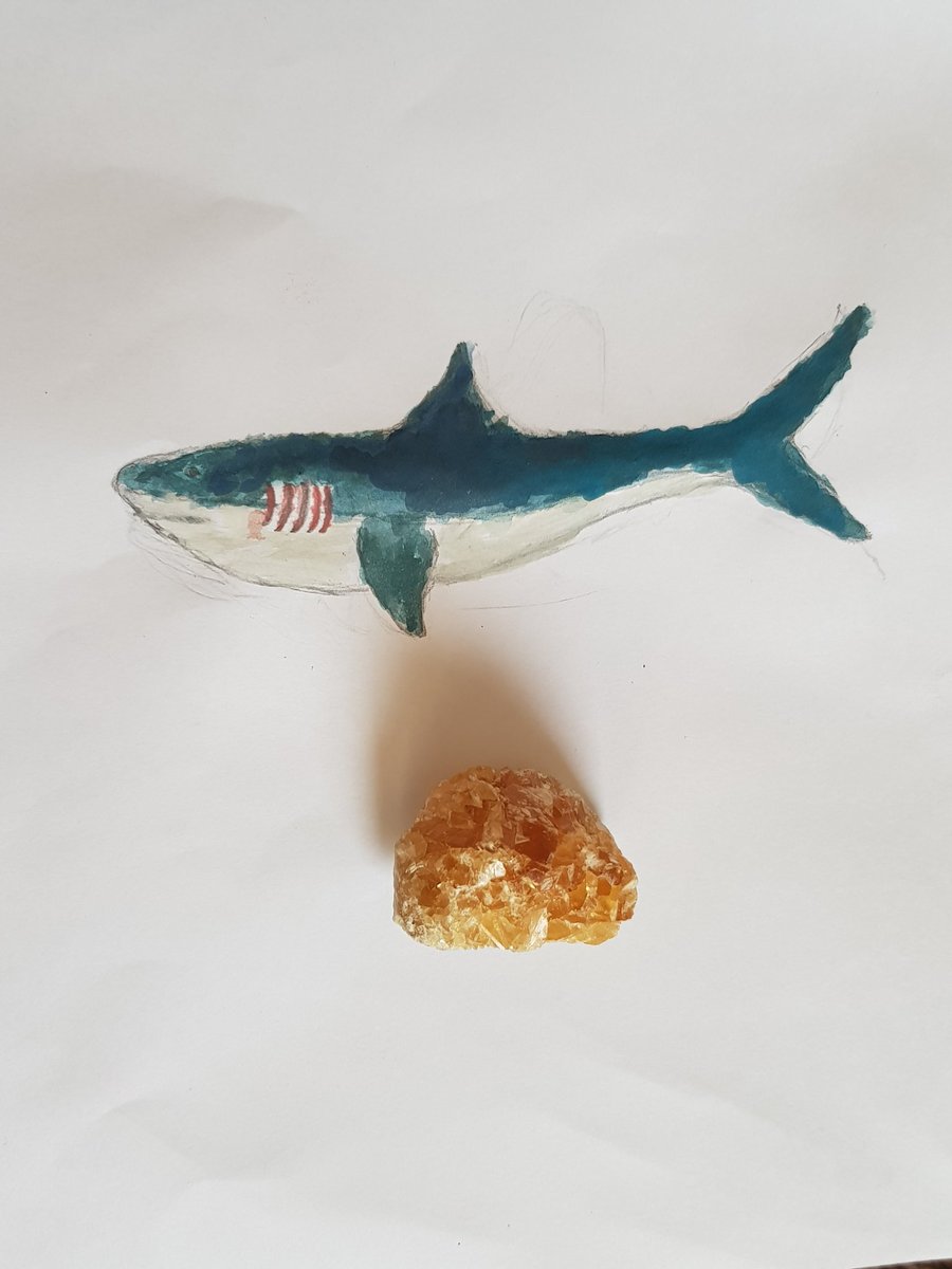 JBojaxhiu's tweet photo. #painting #shark #stone #child #white https://t.co/B3KG2hL2yf