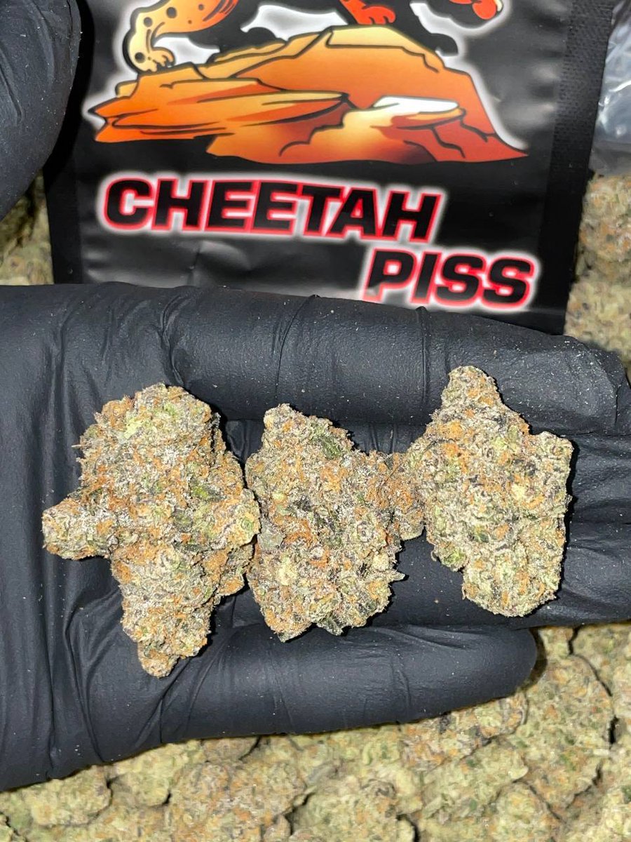 GasStat1985's tweet image. Available🔥🔥