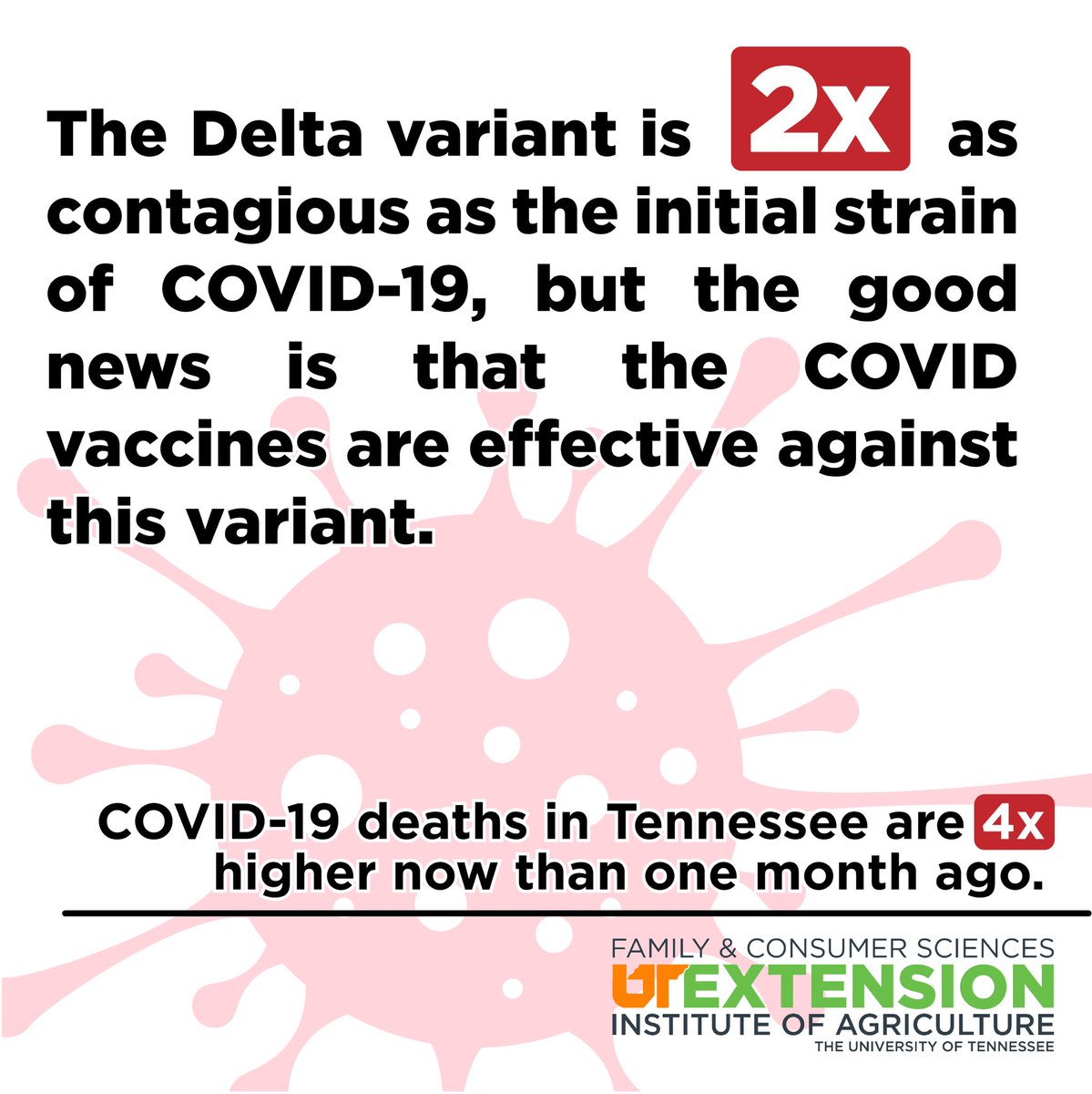 The Delta variant is 2x as contagious as the initial strain of COVID-19, but the good news is that the COVID vaccines are effective against this variant. 7-day average; data from experience.arcgis.com/experience/885… More info at vaccine.gov @UTExt_Dean @UTExtensionFCS @UTIAg