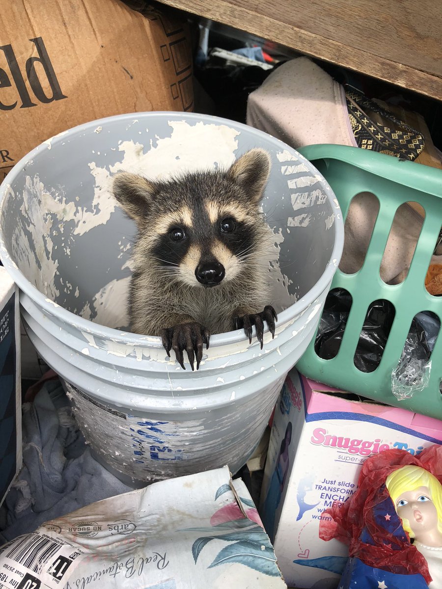 olddirtycrayon's tweet photo. Somebody looks guilty https://t.co/gB2LC0tpYc