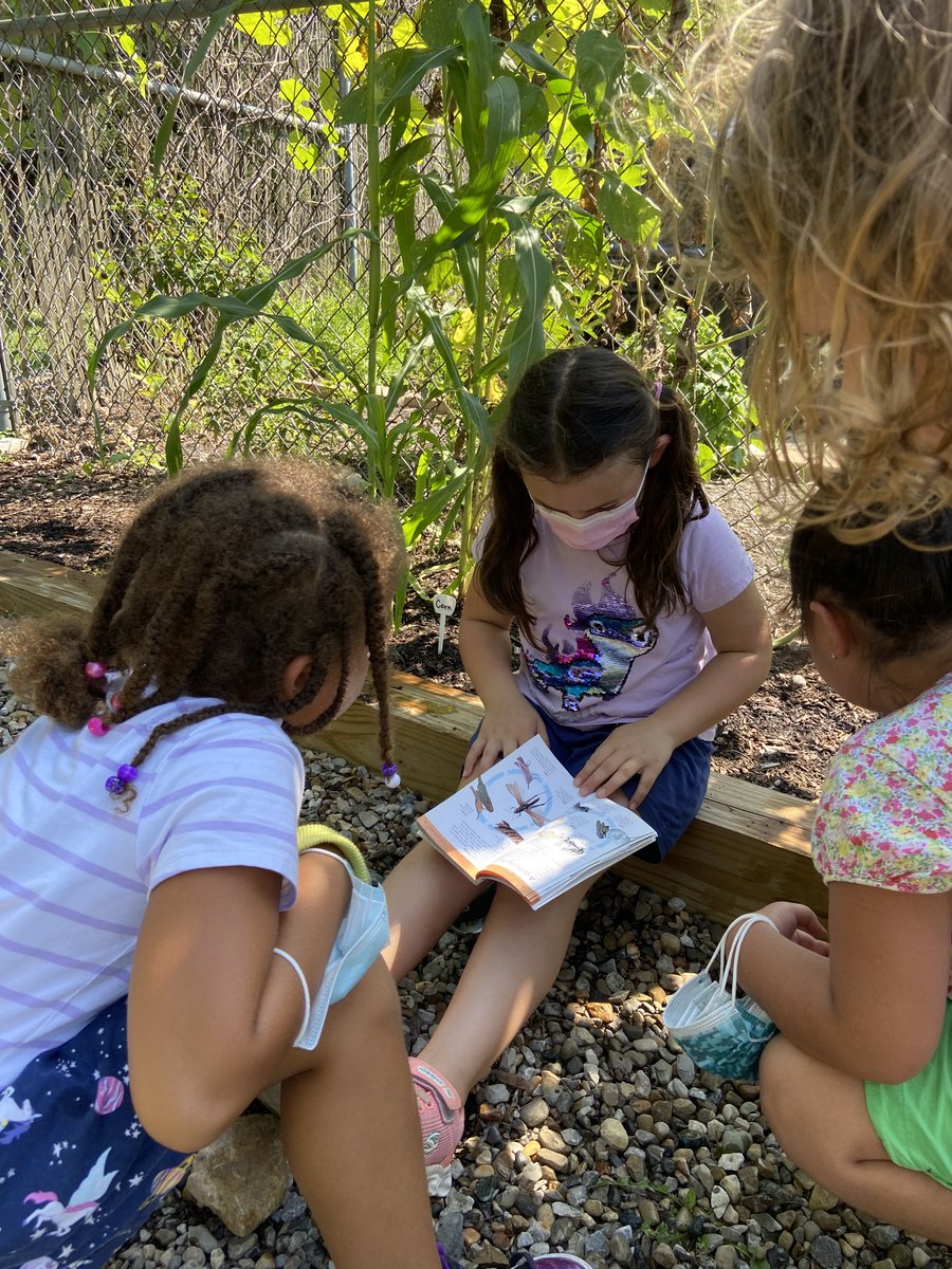 Before this past Wednesday, it had been 531 days since our last garden recess in the Granby Garden. Hearing the students exclaim, “I love the garden!” over and over again this week made the wait worth it!    
Can’t wait till next week! ❤️
#itsworthit
