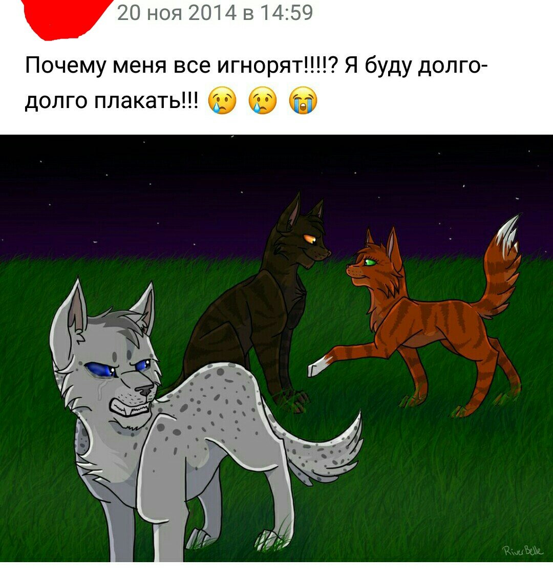 Коты Воители белка и ежевика и Уголек