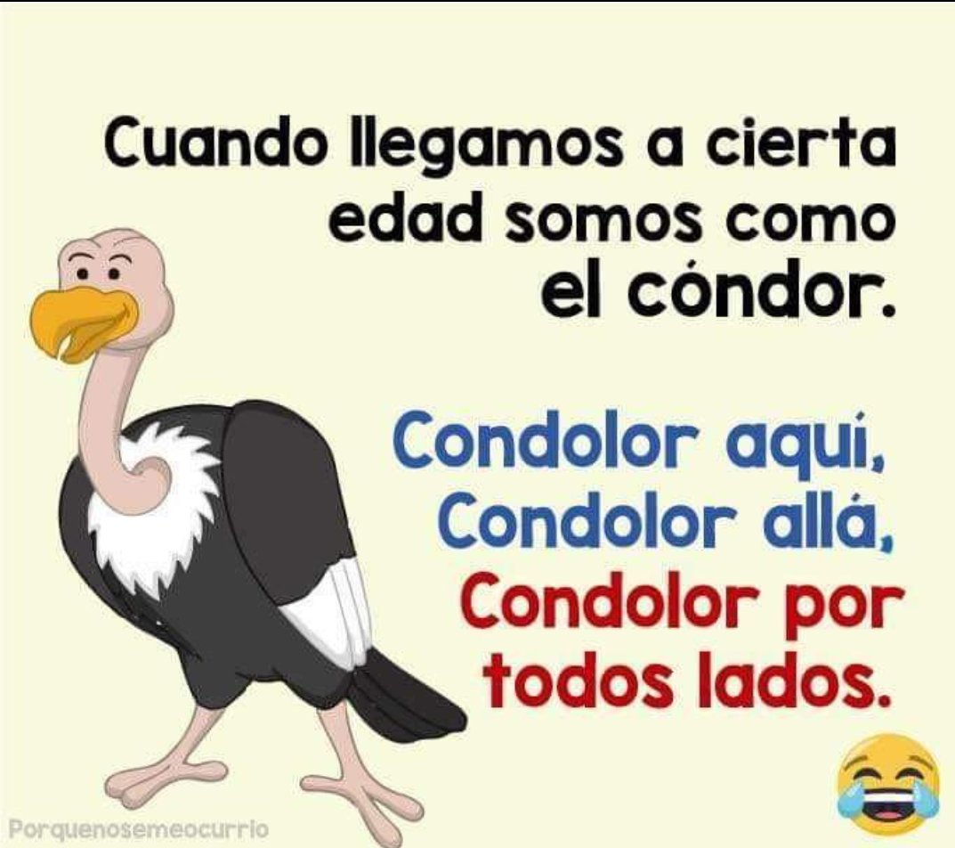 Daniel_AJ20's tweet photo. Hay les hablan 😂 https://t.co/Z0p62LFnjC
