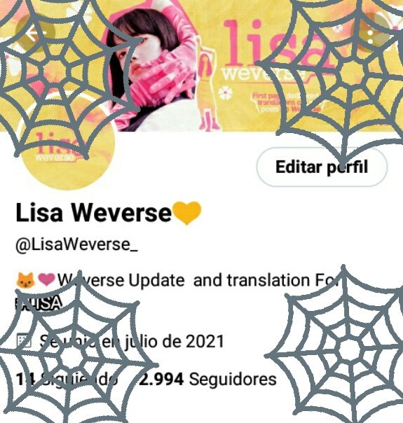 😺Lisa Weverse💛 (@lisaweverse_) on Twitter photo 