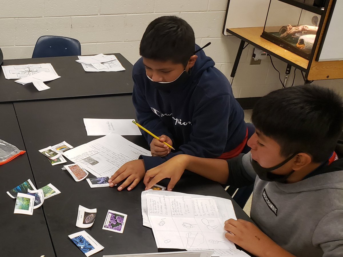 MiddleTeasley's tweet photo. Ms. Eaves’ science students are busy reading, writing and collaborating through their Classification stations! #TheTeasleyWay @CherokeeSchools #ccsdils https://t.co/zBSHVAalVf