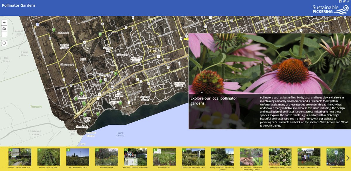 ChrisHagyard's tweet photo. Fun Friday showcasing #OntarioOpenData data from City of Pickering #Pollinator #Gardens
Locations to visit, photos, info on plants & pollinators attracted https://t.co/GrBjvkNQQx enjoy more #OpenData at https://t.co/Ow2hzJzKdD @CityPtbo @go_opendata #environment #sustainability https://t.co/xvr2RT8foP