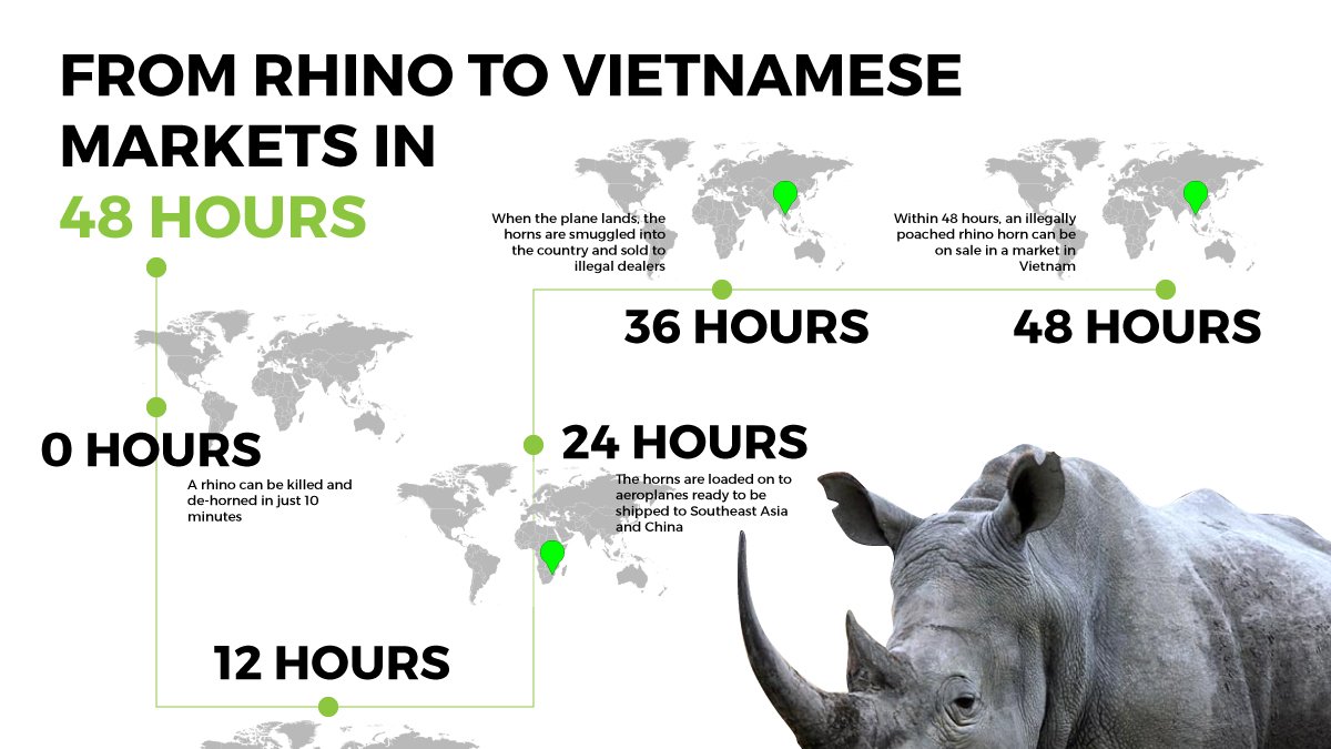 RARE RHINO STUDIOS,LLC tweet media