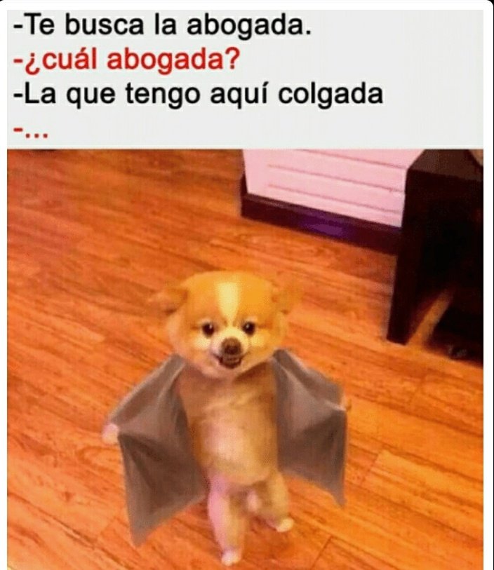 Ysinoquieroque 🤥 tweet media