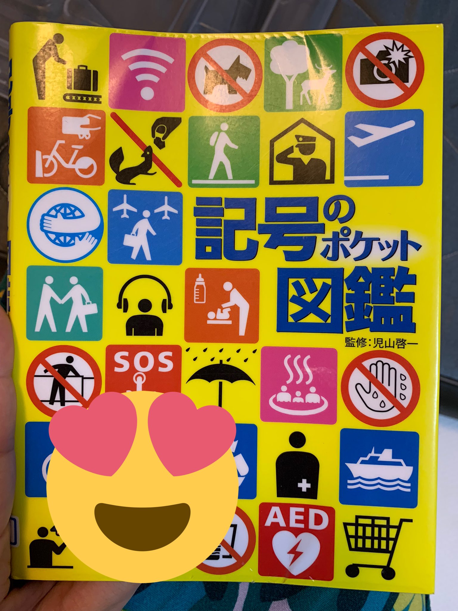 がっつ めんどくさい期 これはお出かけにとても良いサイズ全体によく載ってるし ページごとの分け方も見やすい この図鑑には電車の線路内の標識ものっていて興味が広がった 絵 記号 マーク ピクトグラム 記号の図鑑 標識 T Co Gadxq5ued9