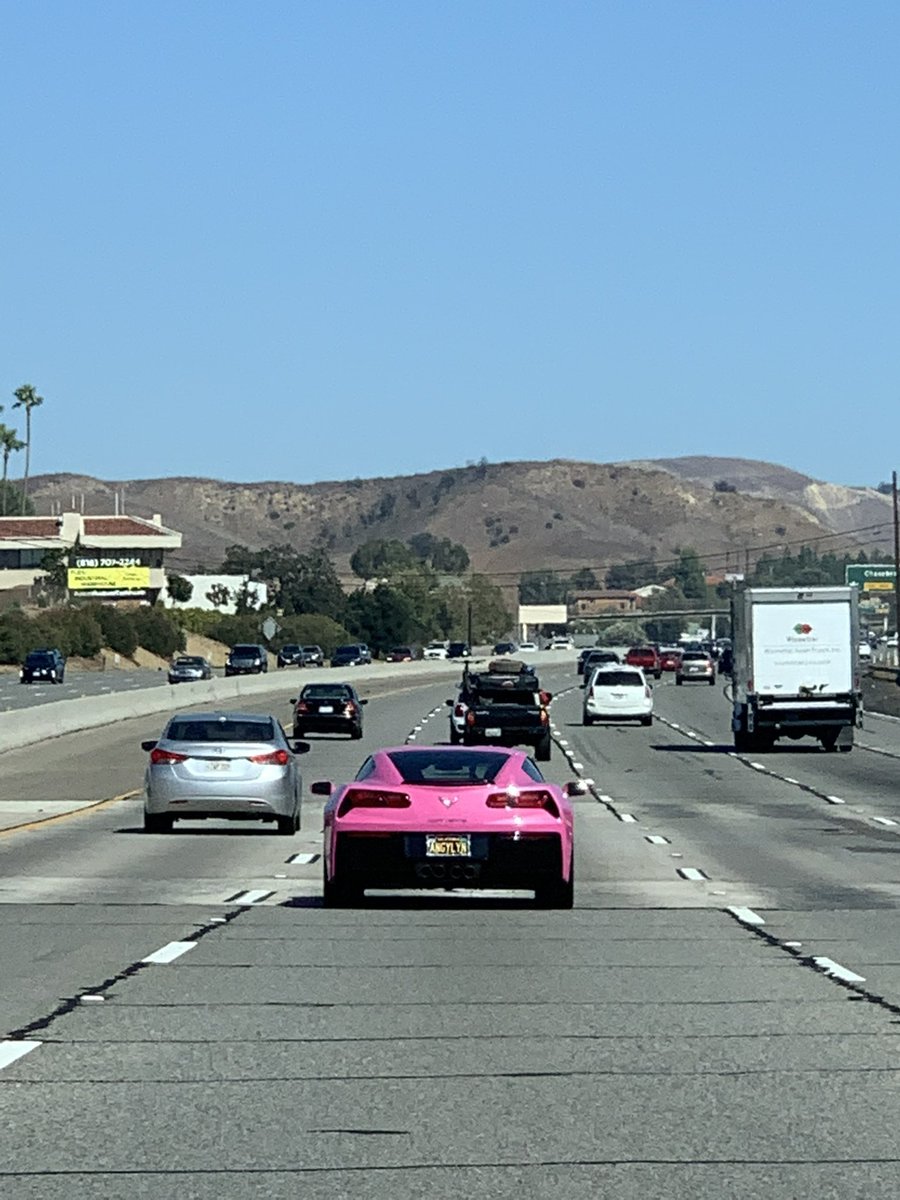 Angelyne Sightings tweet media