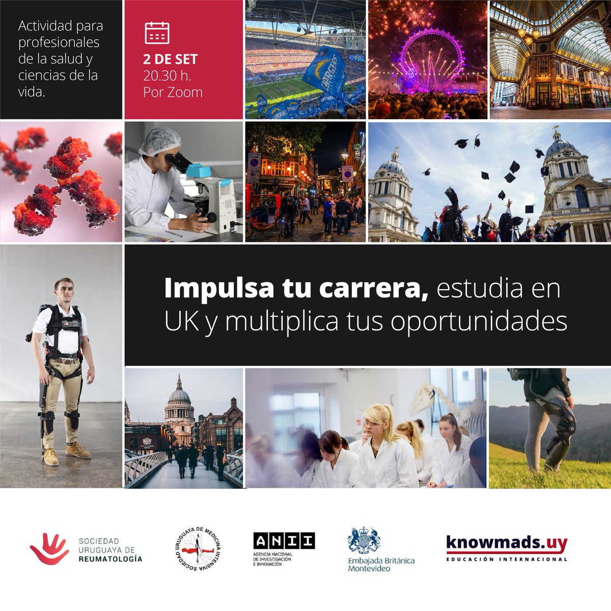 KnowmadsLATAM's tweet photo. Te invitamos a participar en el #Taller sobre #formación y #becas para #medicina y #ciencias de la vida en #UK el 2 de setiembre a las 20.30 h. 🕣 por zoom 📲 Registrarse aquí para asistir a la actividad 👉 https://t.co/Izv6uYGVdF https://t.co/yYvF3LIGPL
