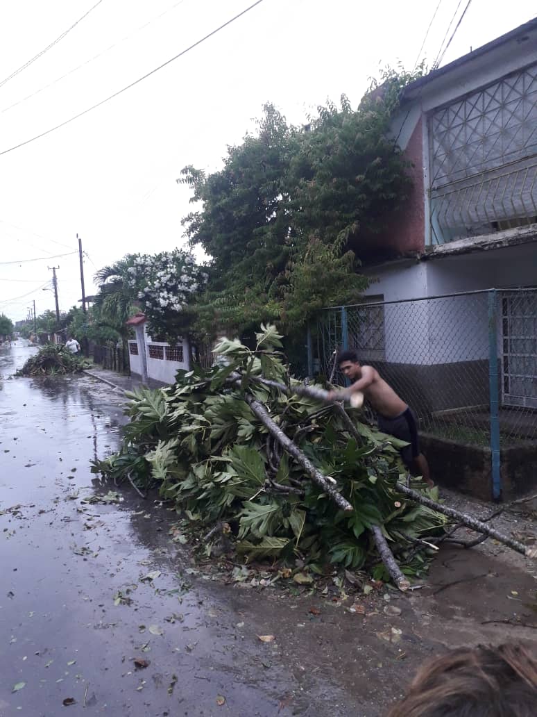 Day 🇨🇺 tweet media