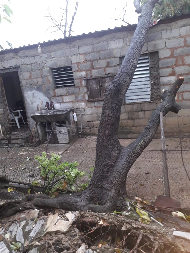 Consejo Popular #26deJulio en la #IslaDeLaJuventud comienza recuperación tras el paso del Huracán #Ida. #ACubaPonleCorazon
<a href="/islavisionicrt/">Islavisión</a> @IcrtCuba <a href="/cnp_insmet_cuba/">Centro de Pronósticos, Insmet</a> <a href="/InsmetC/">INSMET Cuba (METEOROLOGÍA)</a> 
<a href="/cubadebatecu/">Cubadebate</a>