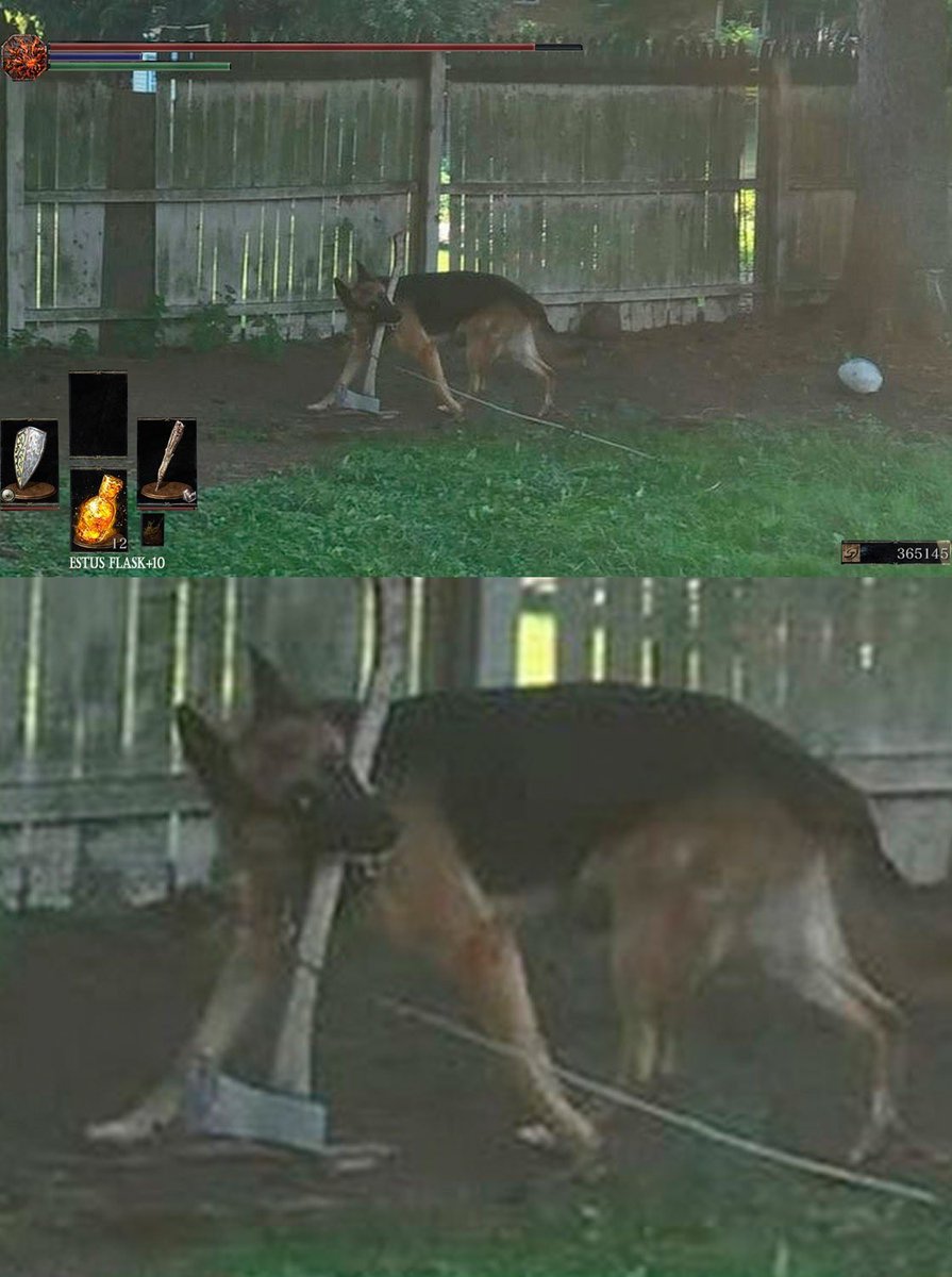 Vusality's tweet image. Yo @OtzdarvaYT, check this out