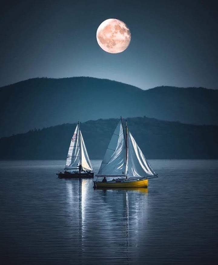 TLeoni311's tweet photo. Good night https://t.co/jQuIuLkJsG